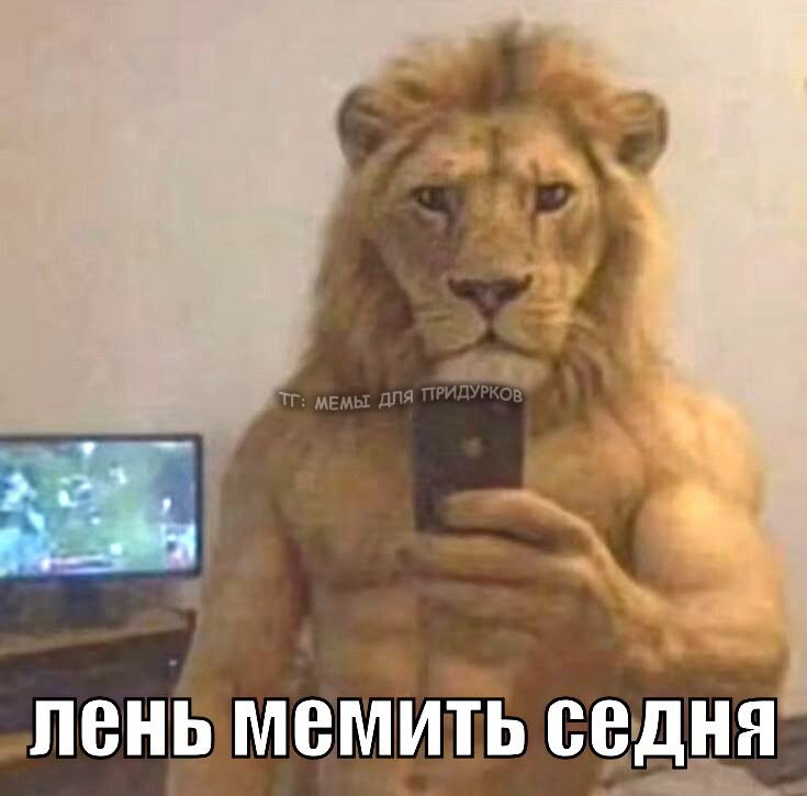 тг: мемы для придурков