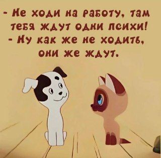 Женский юмор