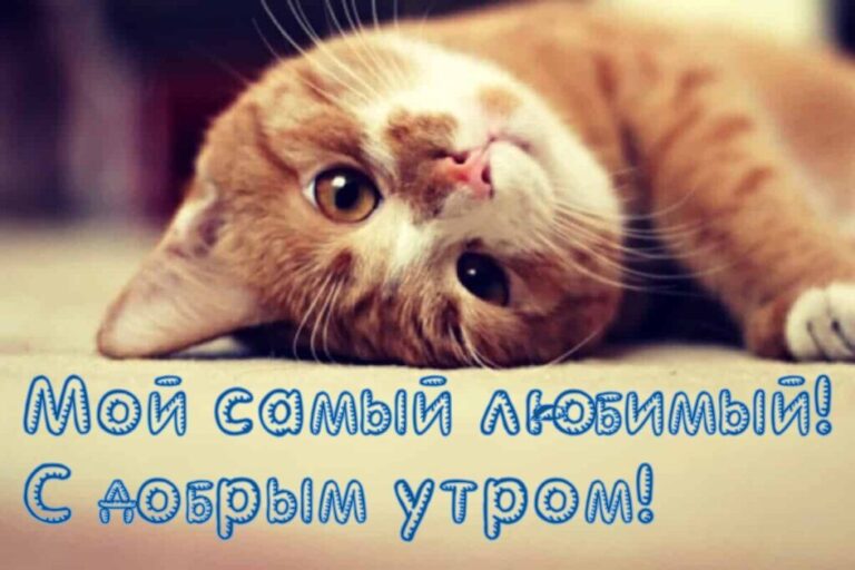 Доброе утро любимый — картинки для мужчины | Zamanilka