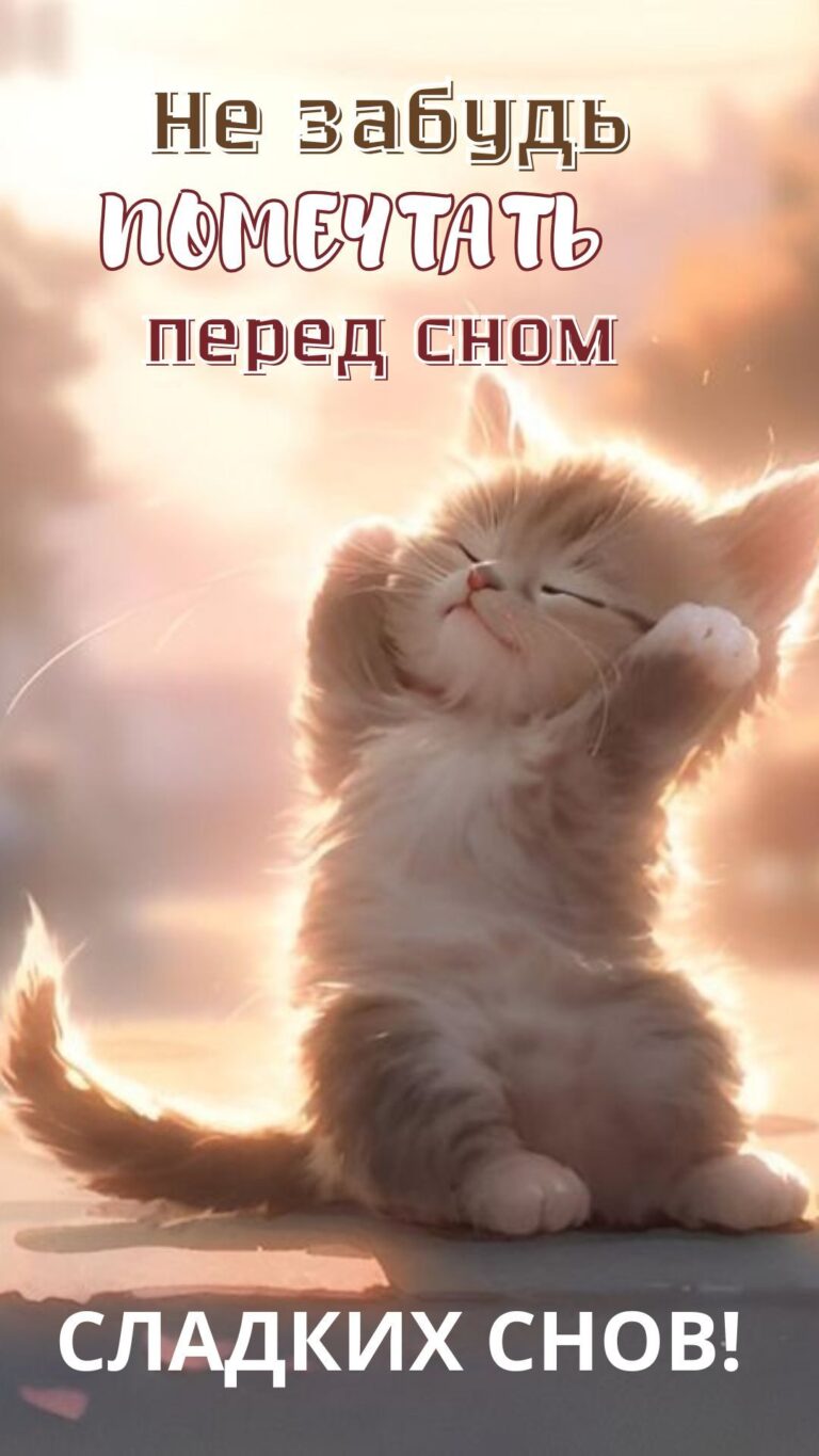 СЛАДКИХ СНОВ