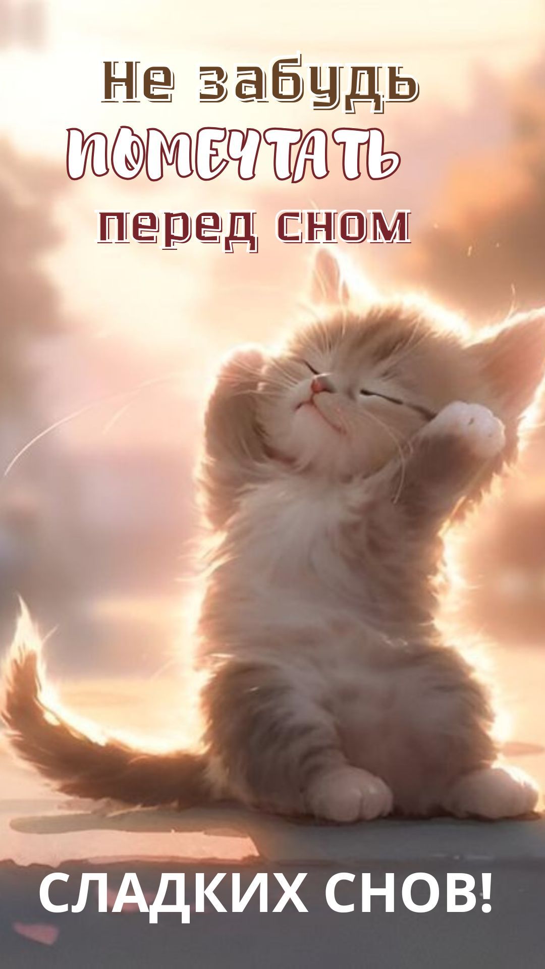 СЛАДКИХ СНОВ