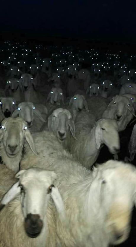 Caption this – WTF