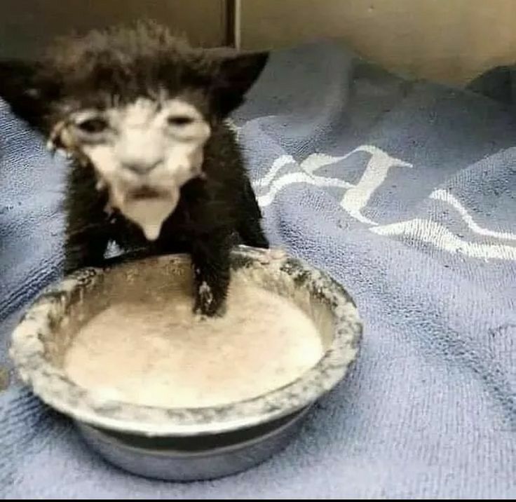 bro looks so lost 😭