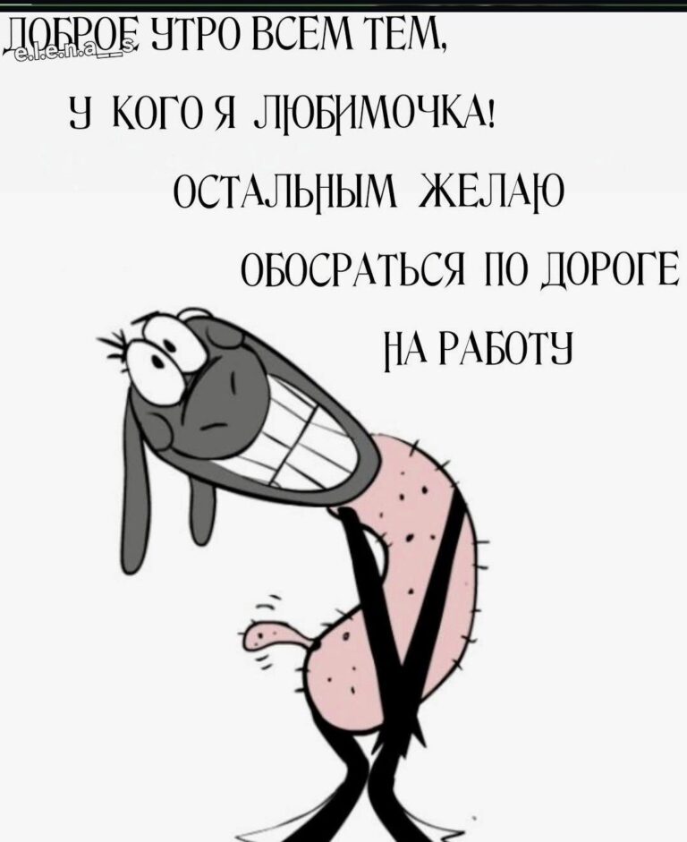 Доброе утро