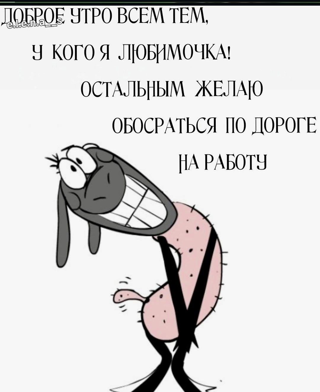 Доброе утро