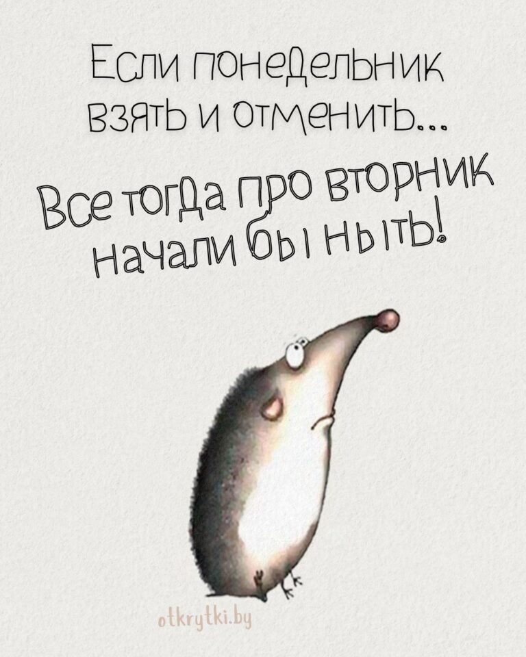 Веселые картинки про ВТОРНИК с добрыми словами и юмором