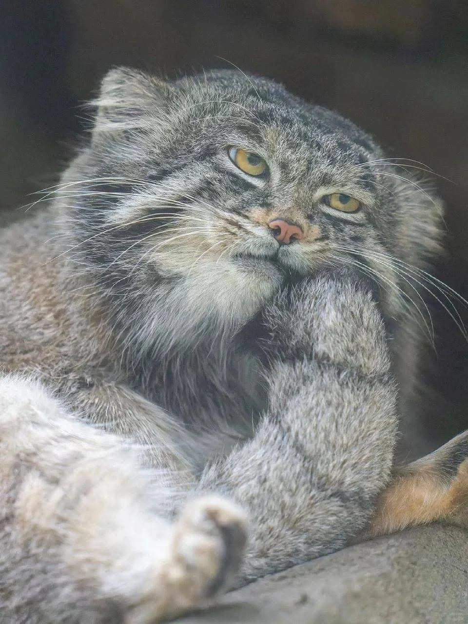 IFact – IFact added a new photo.