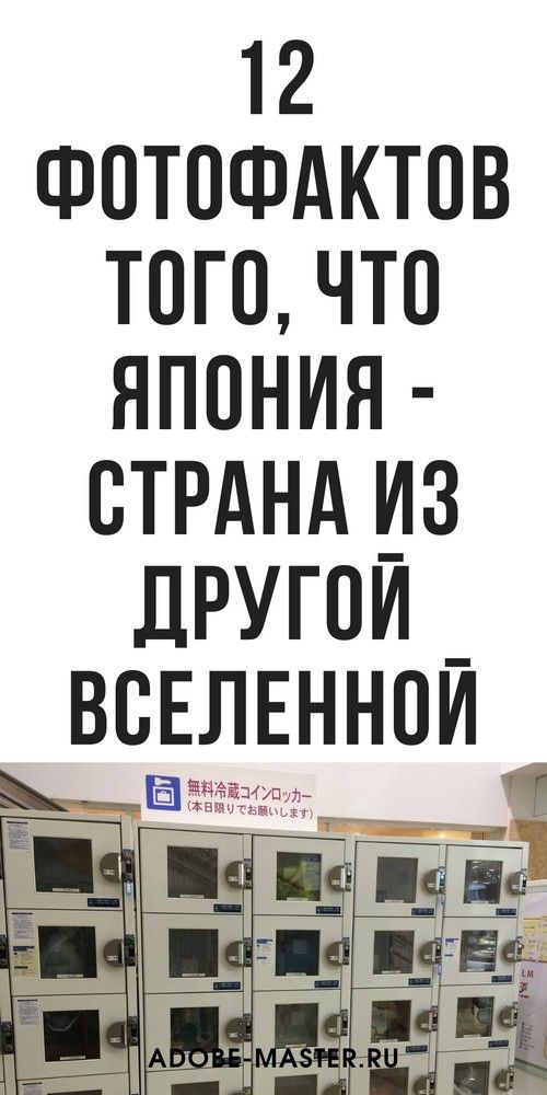 12 фотофактов того, что Япония — страна из другой вселенной  | betip