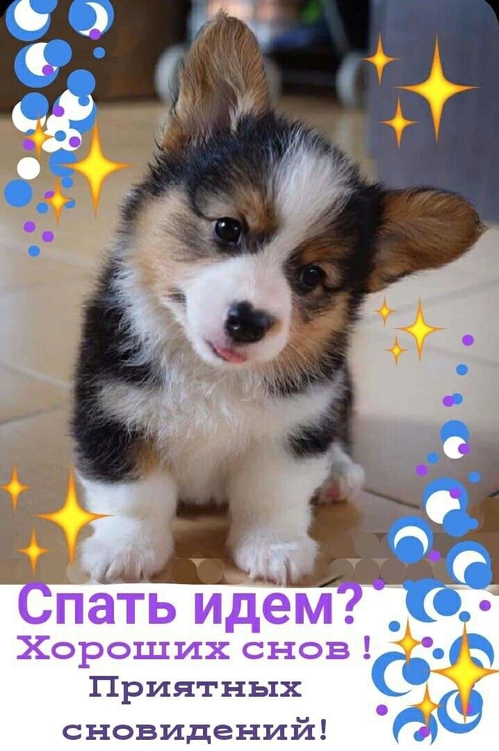 Друзья, доброе утро! ❤ | Группа на OK.ru | Вступай, читай, общайся в Одноклассниках!