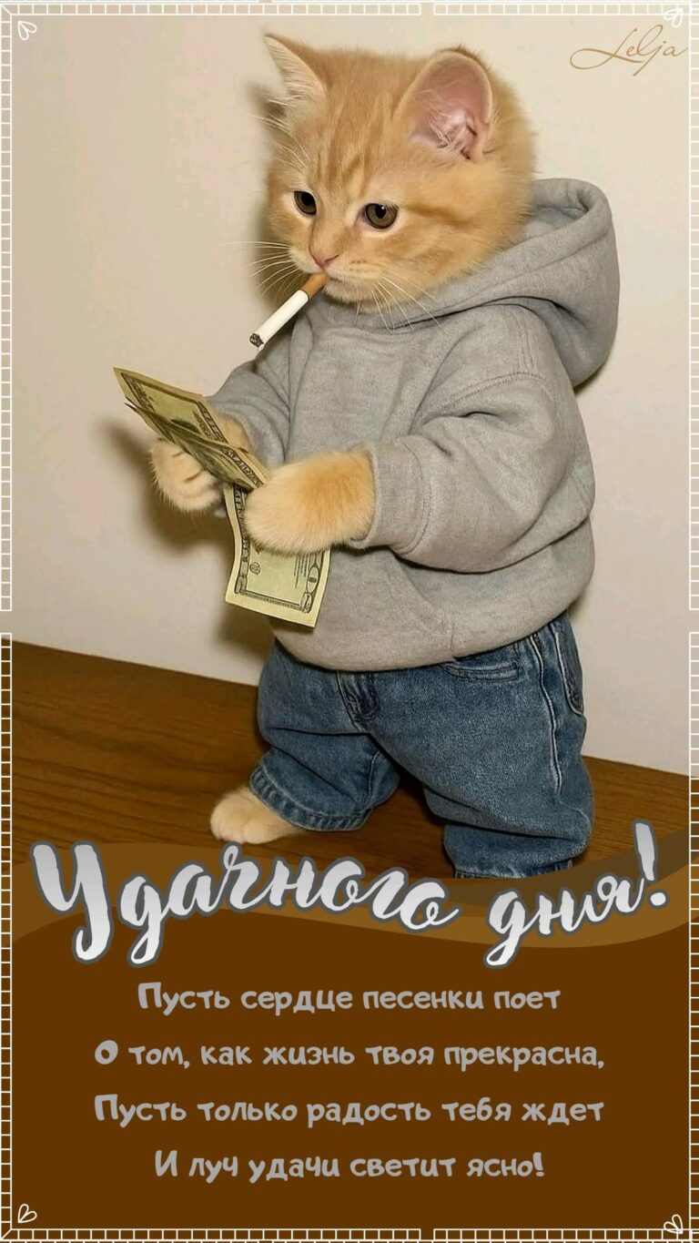 Удачного дня!