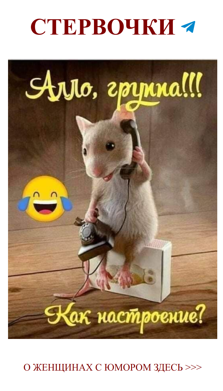 Join group chat on Telegram