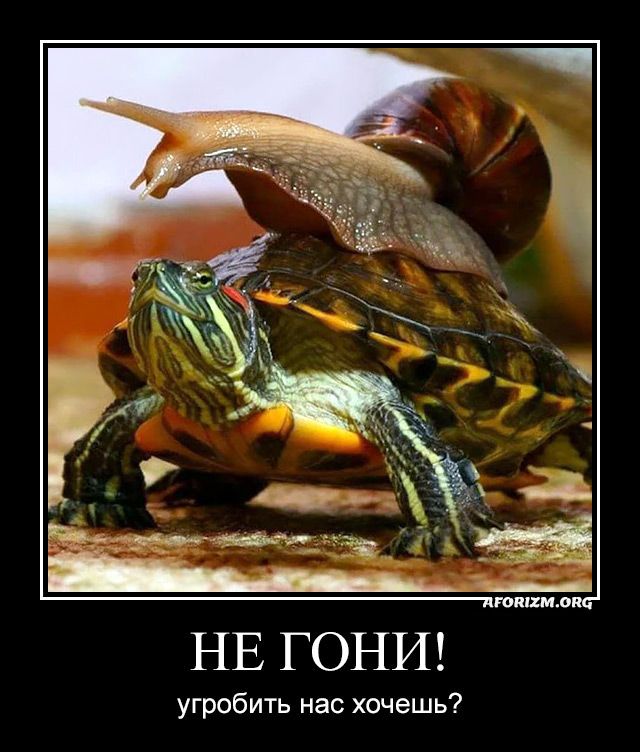 Кнопка «Старт»…