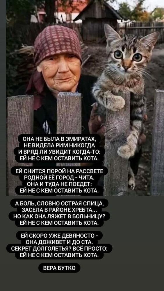 юмор очень смешно 141