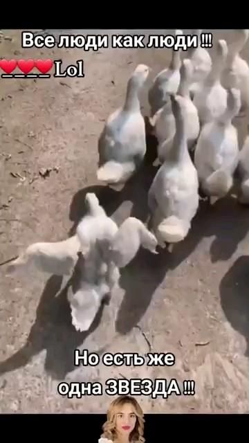 Но есть же одна звезда