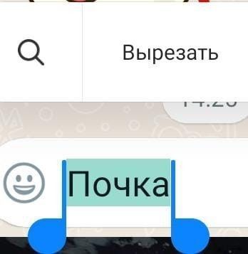 это просто смефно🤣🤣🤣