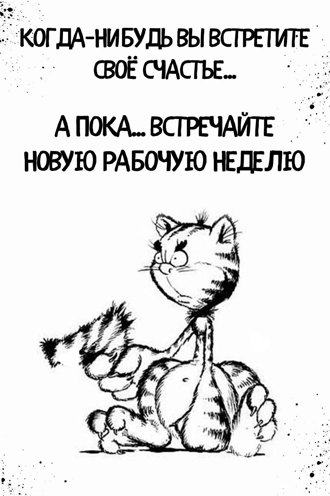 Доброе утро понедельника картинки прикольные смешные
