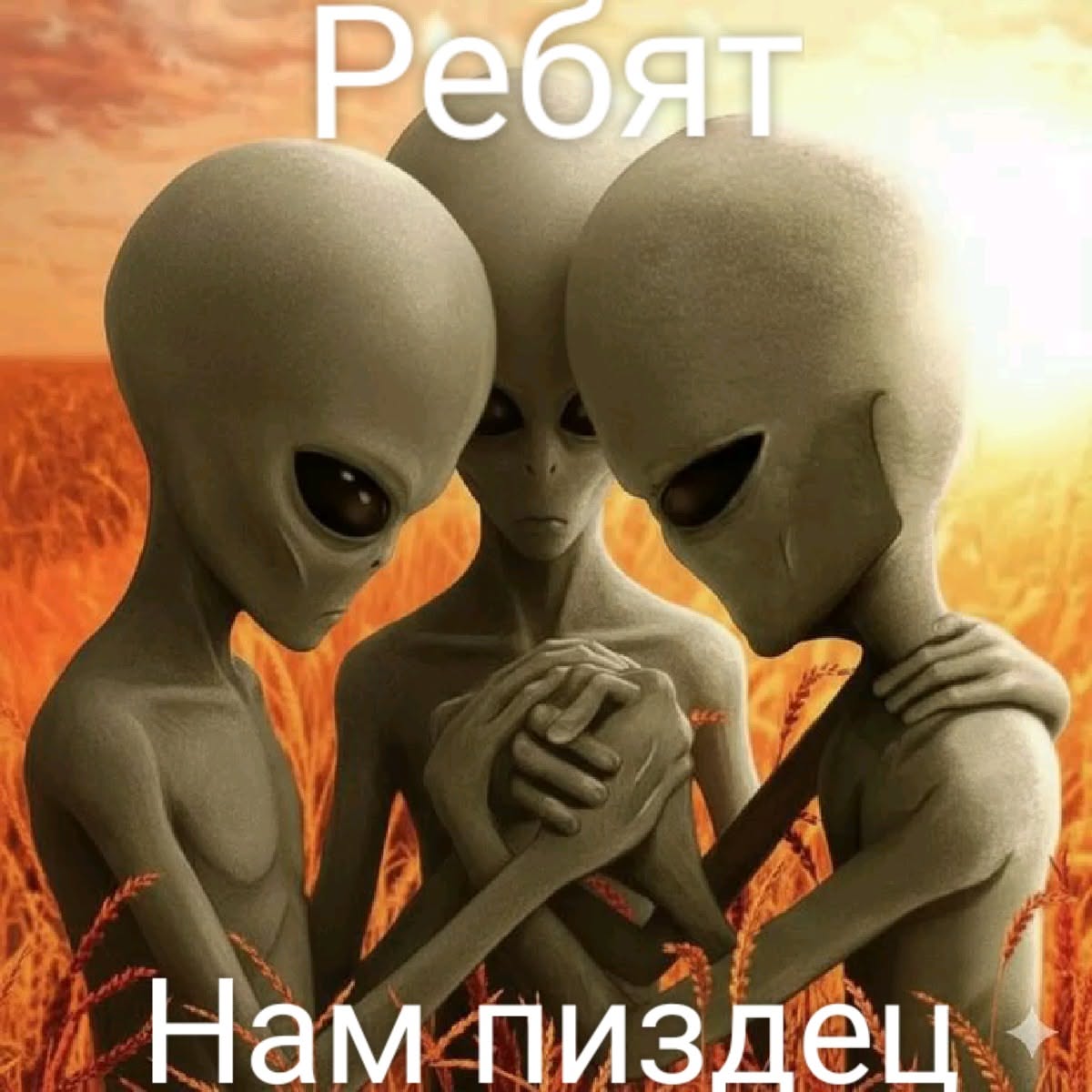 іноплінотины