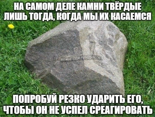 тг: мемы для придурков