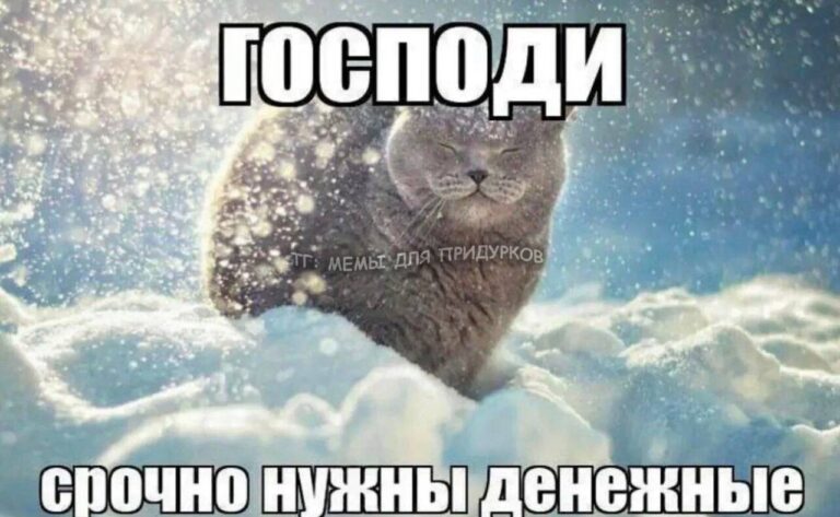 тг: мемы для придурков