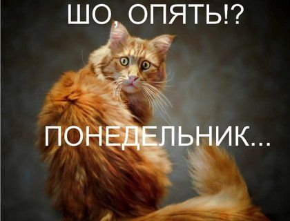 Гифки с днем рождения – (149 поздравительных GIF’s)