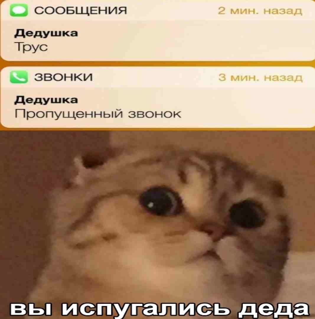 юмор, смешные картинки