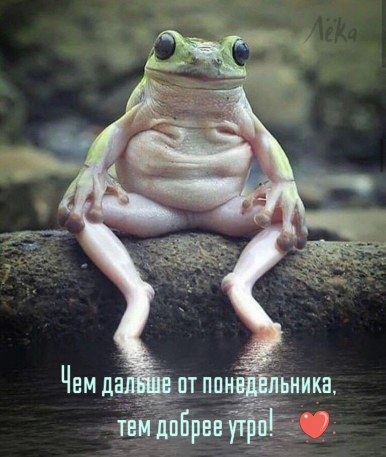 Доброе утро