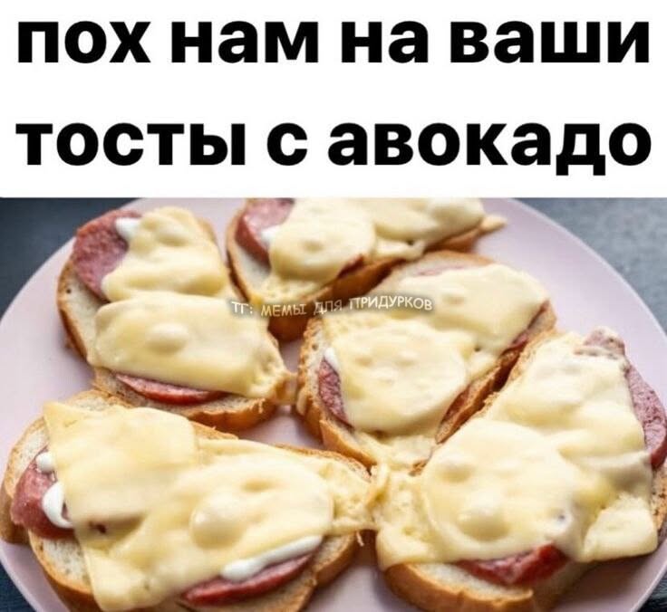 тг: мемы для придурков