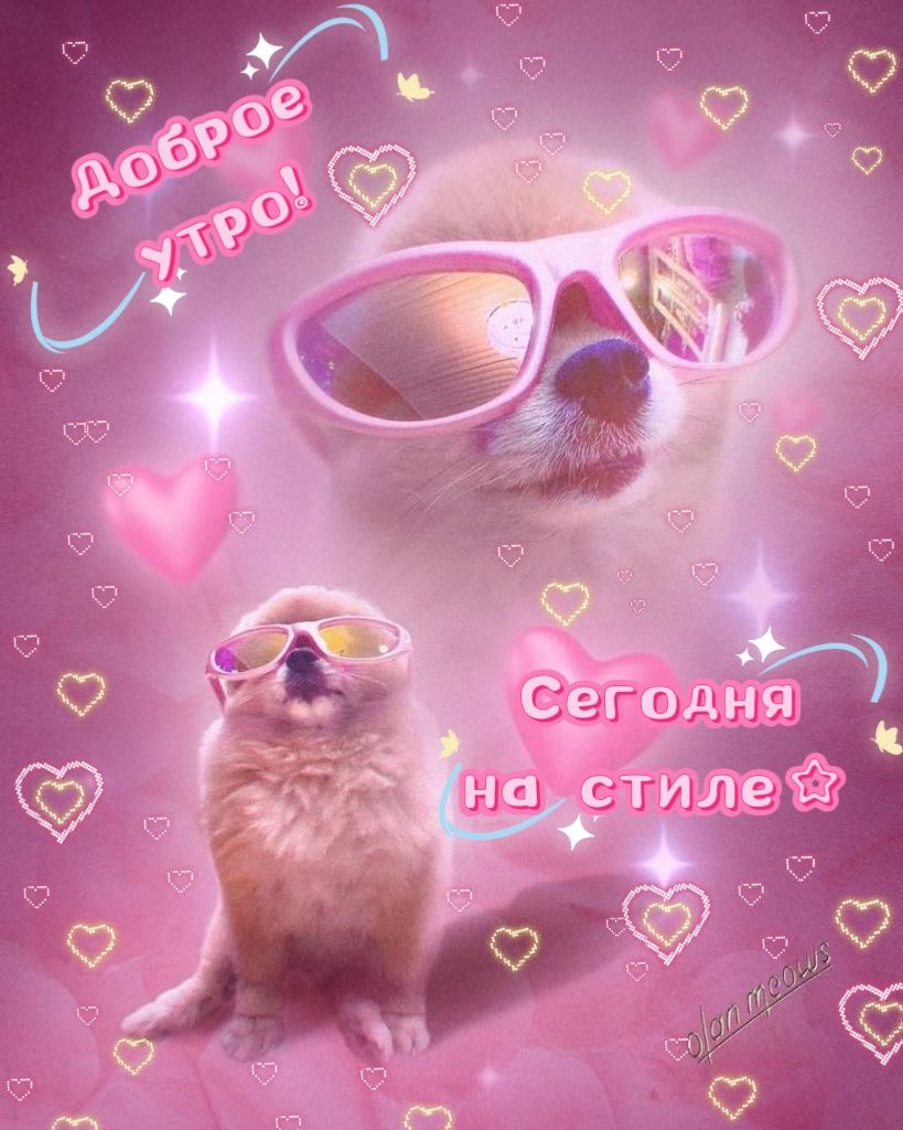 Доброе утро