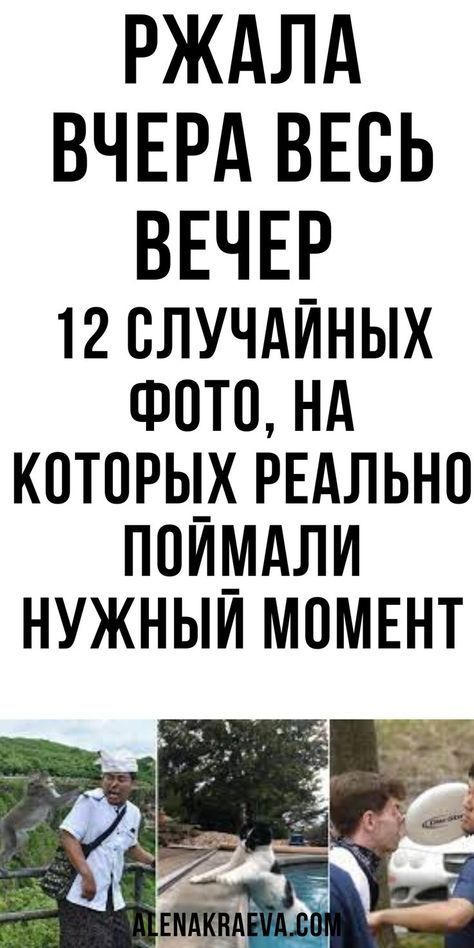 12 случайных фото, на которых реально поймали нужный момент