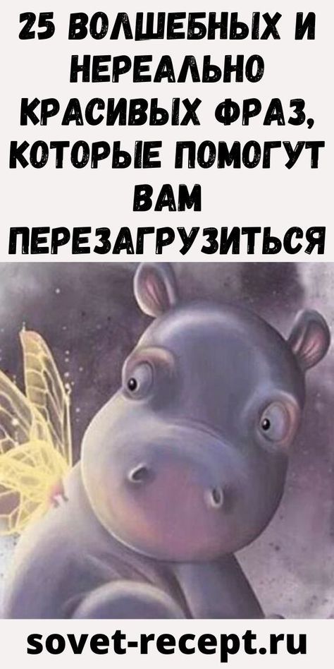 25 волшебных и нереально красивых фраз, которые помогут вам перезагрузиться – Женский Мир