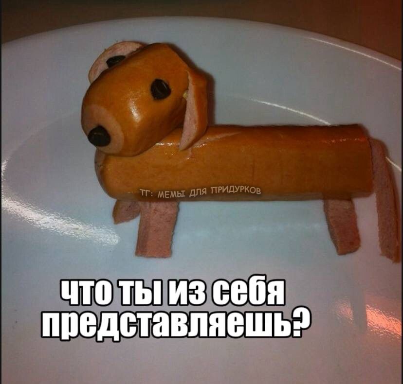 тг: мемы для придурков