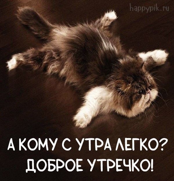 Позитивные картинки Доброе утро 😄 👇 – скачать