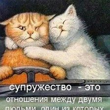 Фото 913118509712 из альбома Разное. Смотрите в группе 💓💓МЫ , СОВЕТСКАЯ МОЛОДЕЖЬ ! Авторская группа в ОК