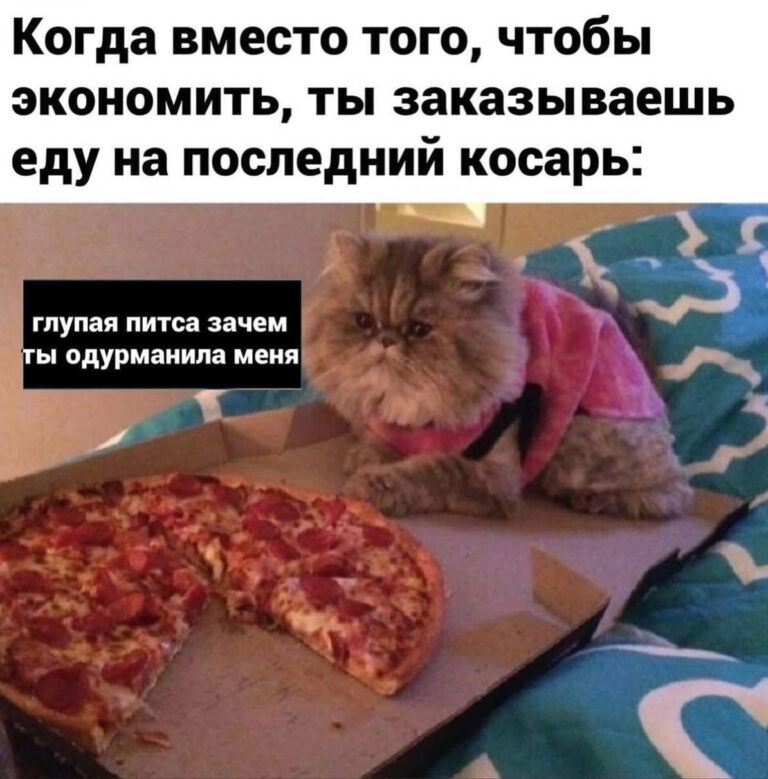 Смешные мемы фразы на каждый день мем с котами подруги переписки с парнем storis открытка трендс