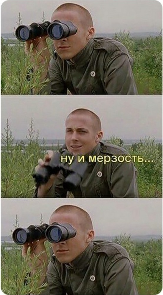 Скотсети и прочие интернеты 28.05.2021 – ЯПлакалъ