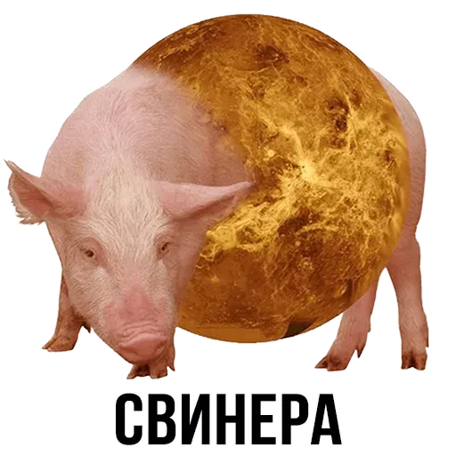 Набор стикеров для Telegram «Шлакоблокунь и друзья»