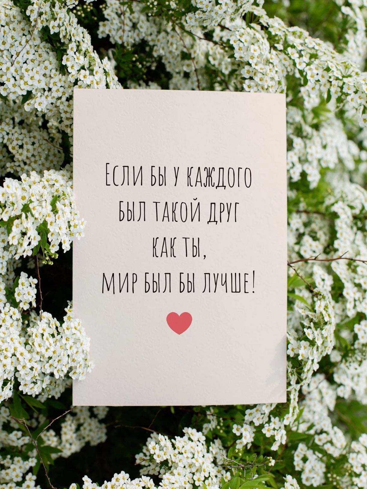 Вместо тысячи слов✨