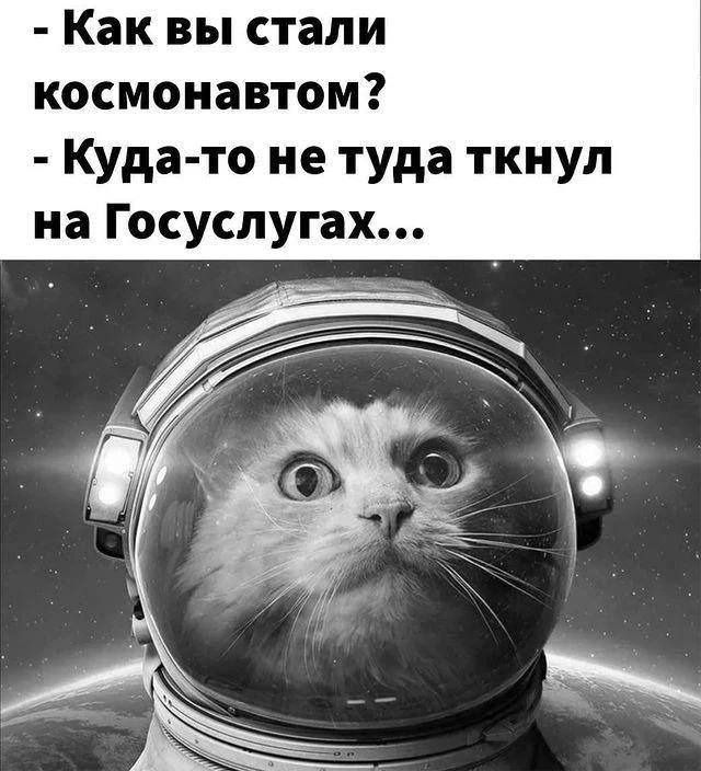 Котсмонавт