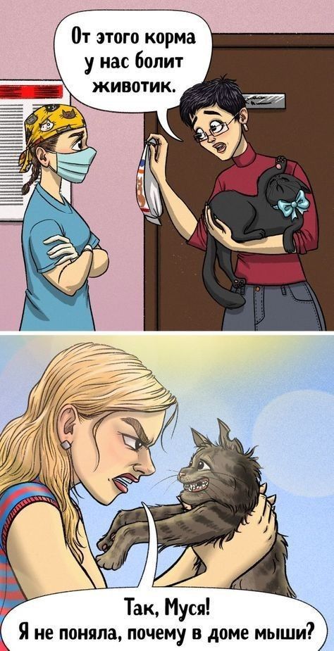 Кошачий корм или 🐀?