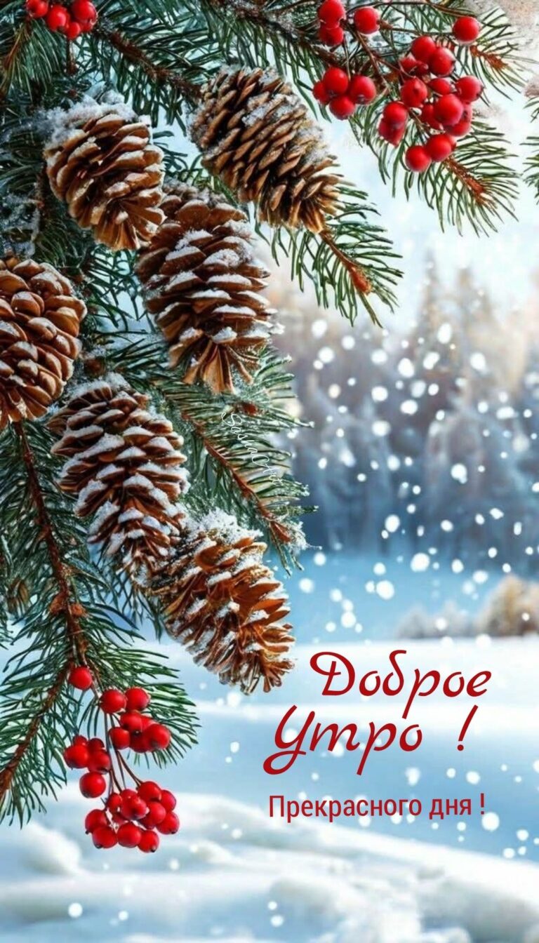 Доброе утро ! Прекрасного дня !