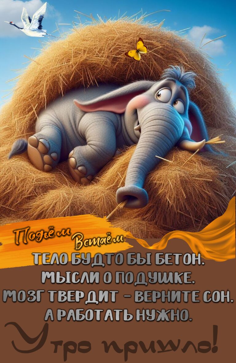 Утро пришло🌞