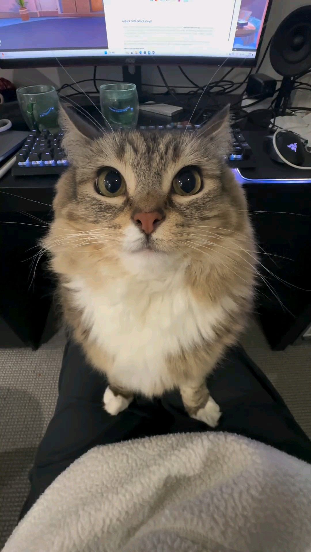 check the link below⬇️