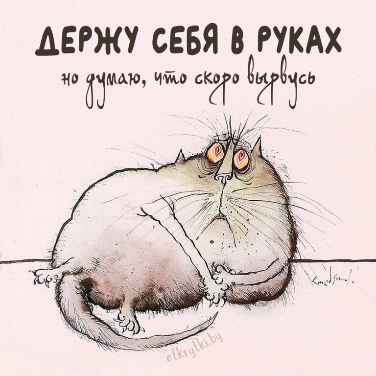 55+ креативных картинок с надписями о себе с юмором и сарказмом