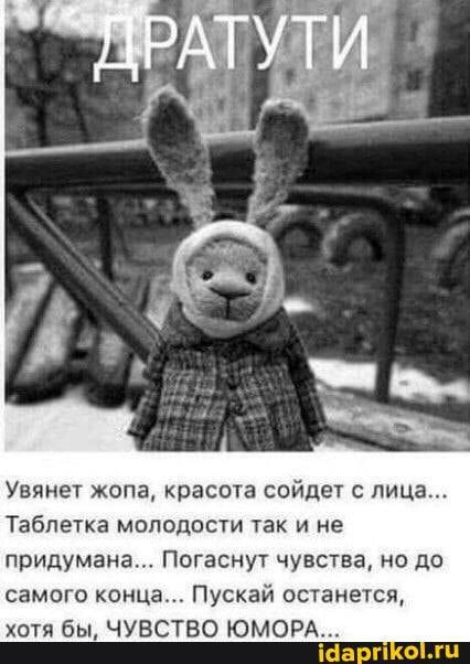 Увянет жопа, красота сойдет с лица… Таблетка молодости так и не придумана… Погаснут чувства, но до самого конца… Пускай останется, – АйДаПрикол