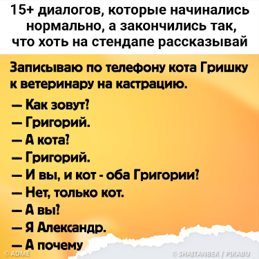 15+ диалогов, которые начинались нормально, а закончились так, что хоть на стендапе рассказывай