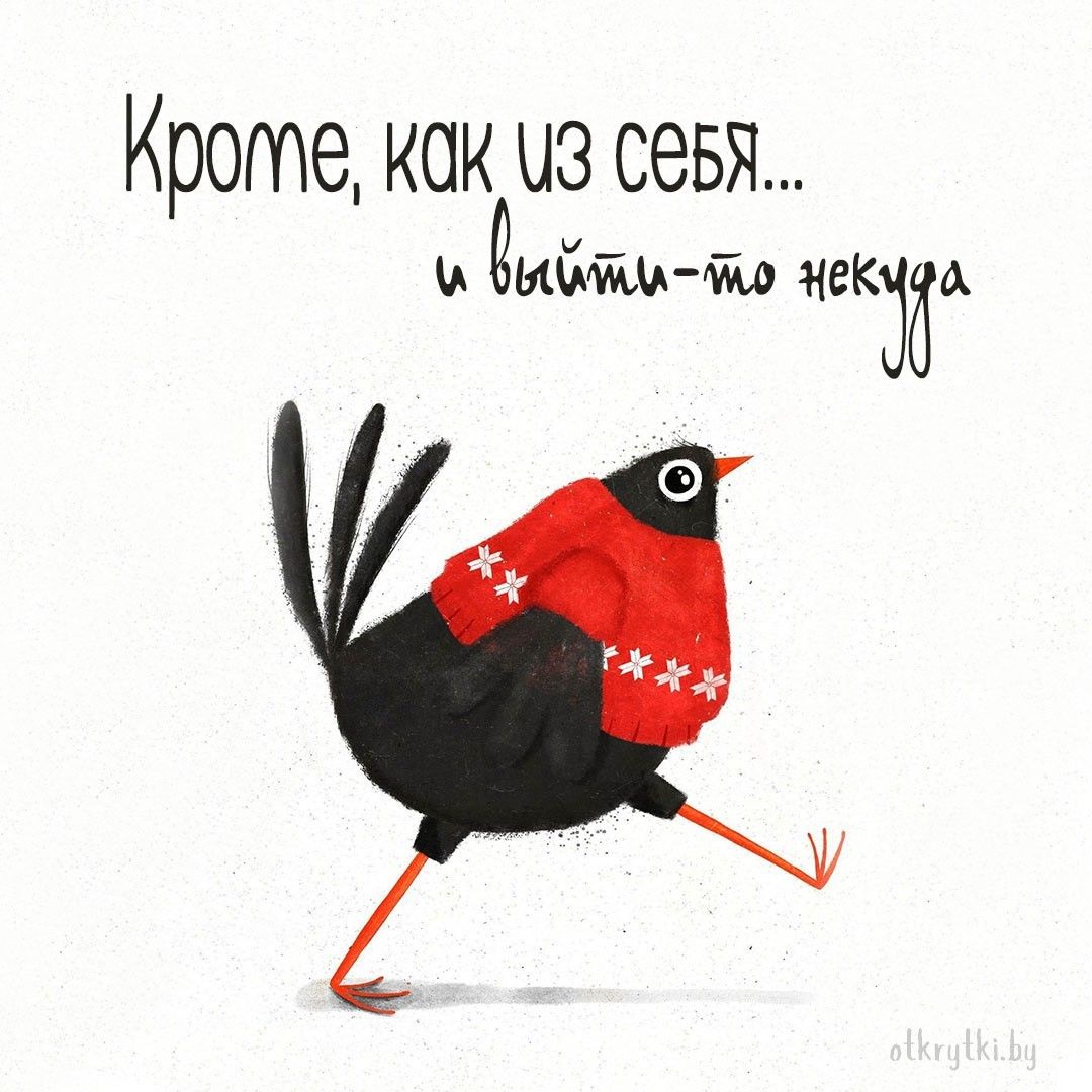 55+ креативных картинок с надписями о себе с юмором и сарказмом