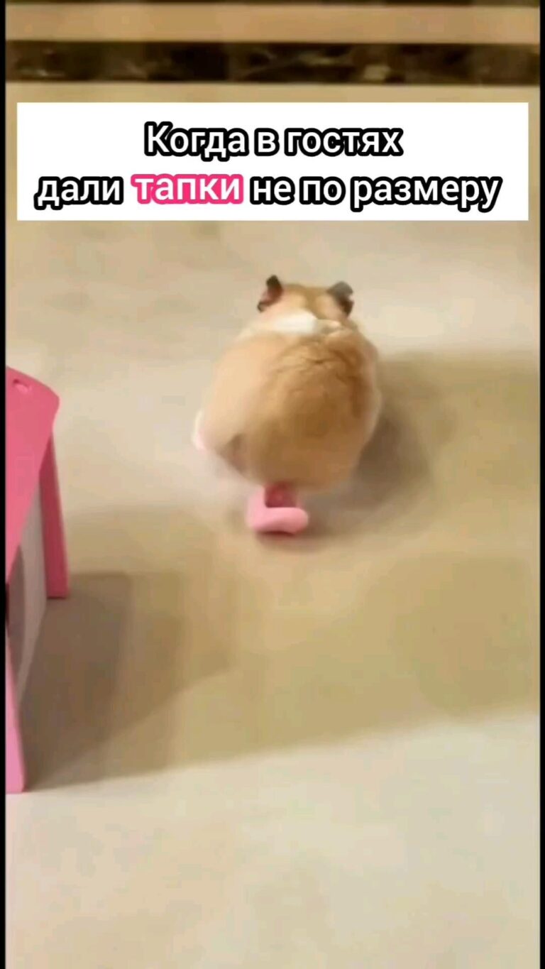 И на том спасибо 😂