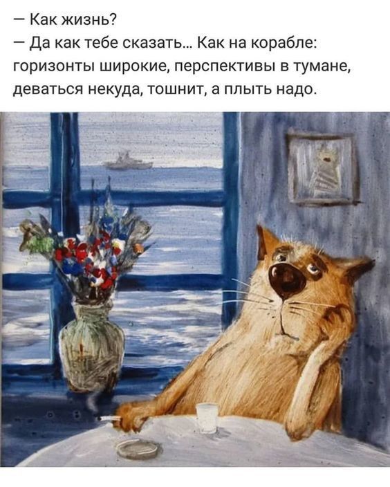 Юмор: все самое смешное из всей сети и из жизни. Пост со стены.