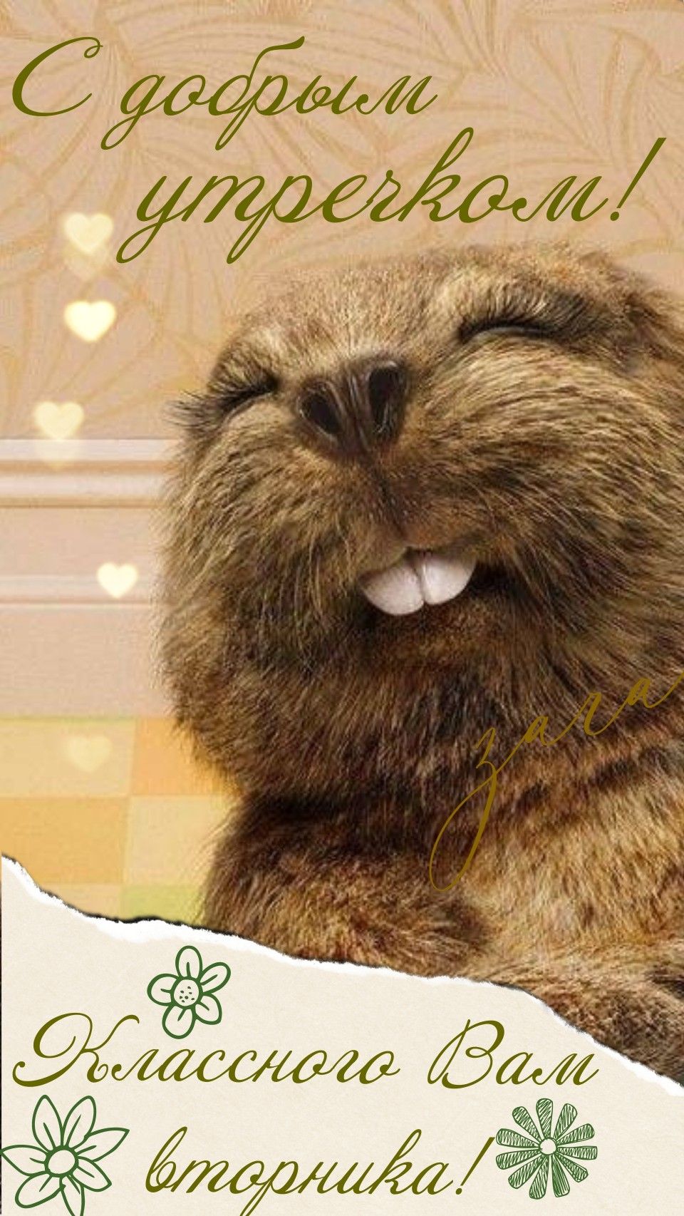 Вот и вторник.