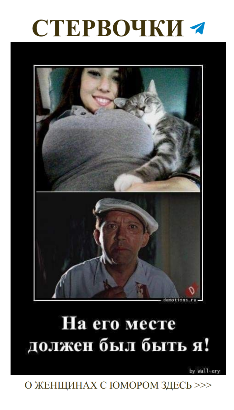 Join group chat on Telegram